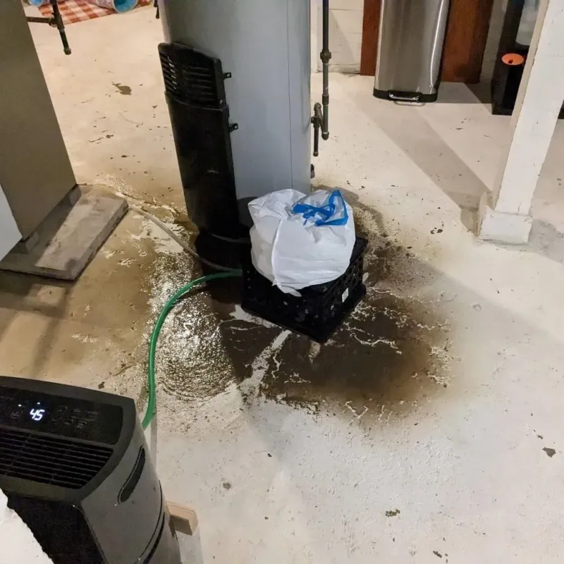 Sewage Backup Cleanup Service in Clearlake Oaks, CA